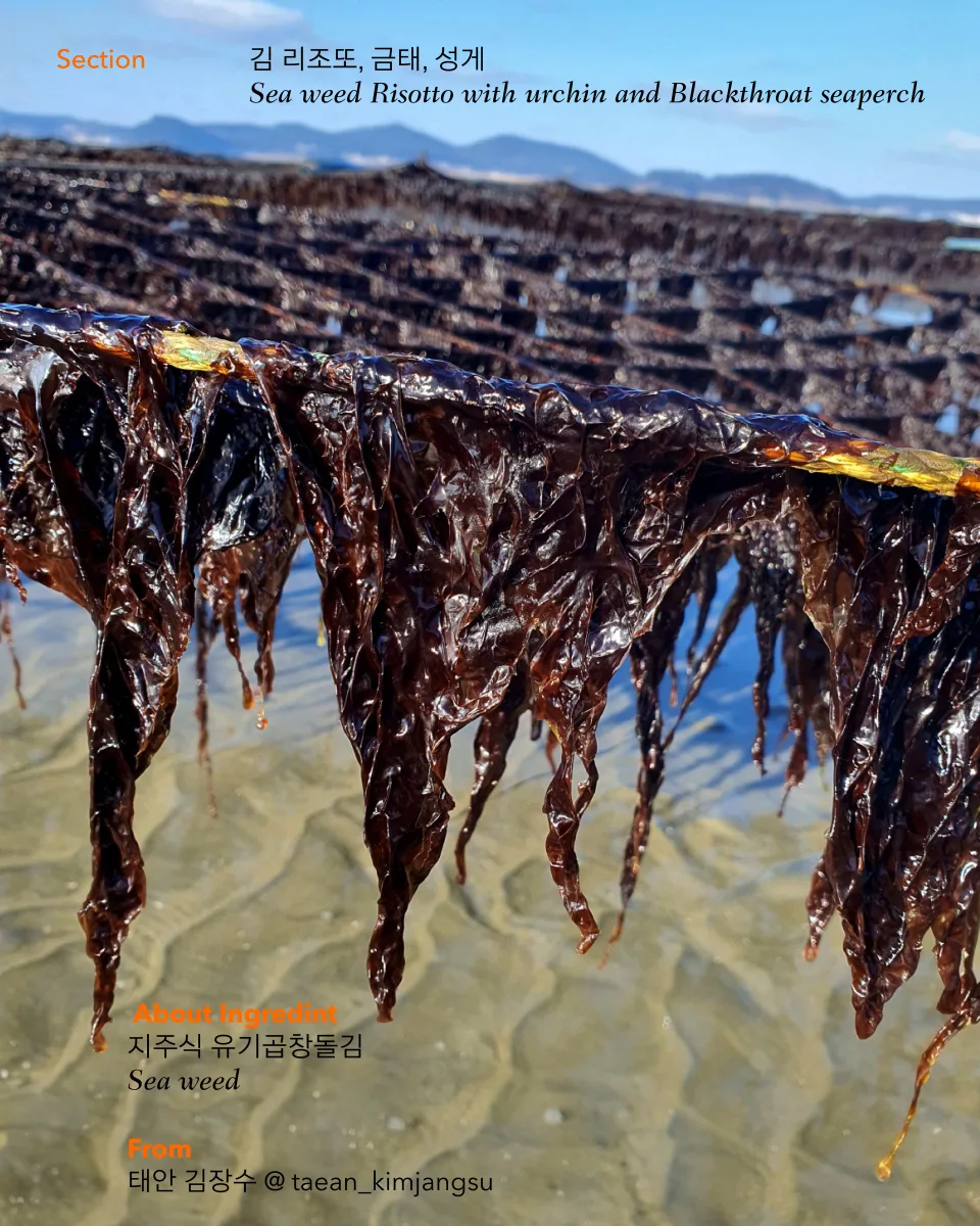 Monthly Hansu ingredient story connecting seaweed provenance to the menu